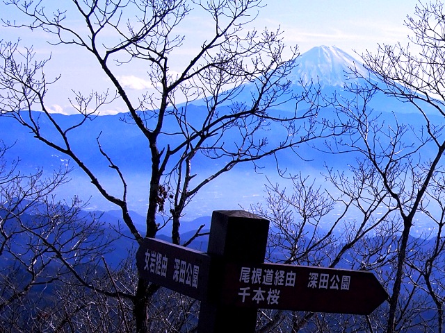 A10茅ヶ岳下山.jpg