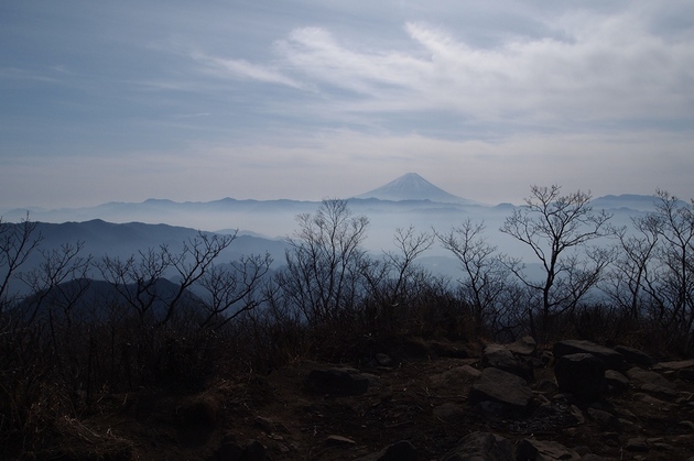 8茅ヶ岳からの富士.jpg
